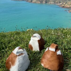 Dumbbell Doorstop Golden Guernsey Cow Cowhide Interior Furnishings By Guernsey Treasures - Image 4