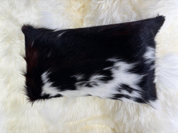 Tri-colour Cowhide 50x30 Cushion Unique Interiors By Guernsey Treasures